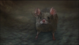 Parul - 2nd May 2025